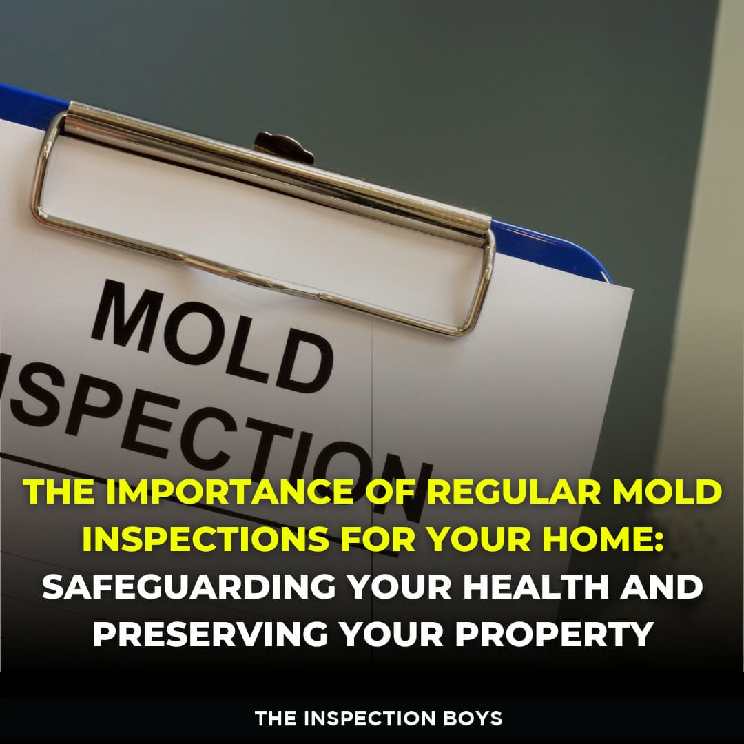 The Importance Of Regular Mold Inspections For Your Home Safeguarding Your the-importance-of-regular-mold-inspections-for-your-home-safeguarding-your
